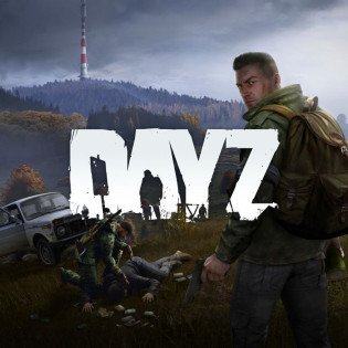 DayZ  Steam 