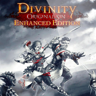 Divinity Original Sin Enhanced  