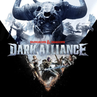 Dungeons & Dragons Dark Alliance D1  Steam 