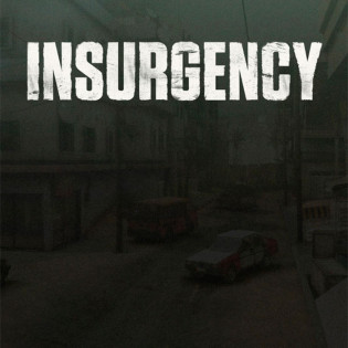 Insurgency  Steam 