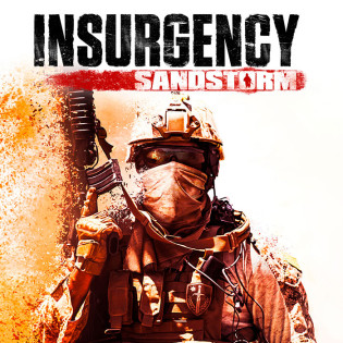 Insurgency Sandstorm  Steam 