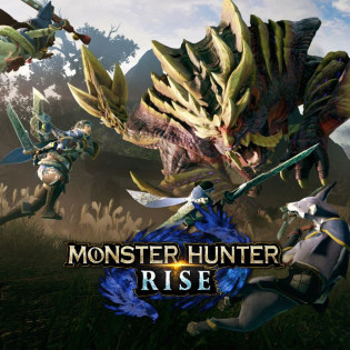 Monster Hunter Rise  Steam 