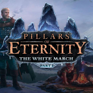 Pillars of Eternity - The White March Part 1 DLC  Steam 