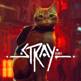 Stray  Steam 