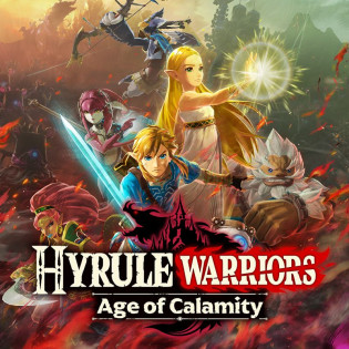 Hyrule Warriors Age of Calamity Expansion Pass  Nintendo Switch Europe