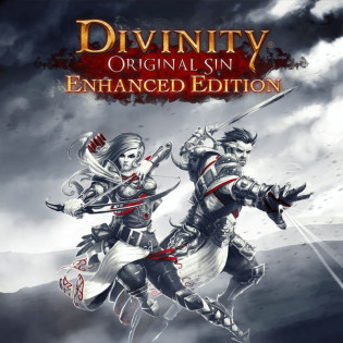 Divinity: Original Sin - Enhanced Edition Collectors Edition  Gog 