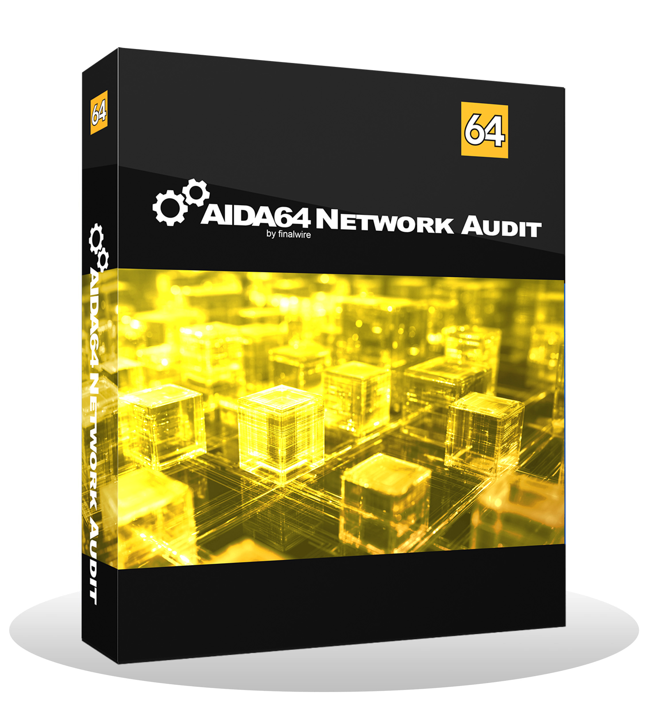 AIDA64 Network Audit - 10 Devices